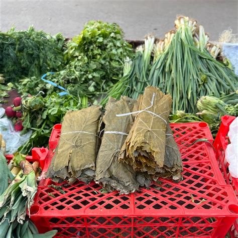 Grape Leaves Information, Recipes and Facts