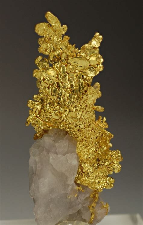 Minerals Minerals Minerals! - Gold on Quartz - Eagle’s Nest Mine ...