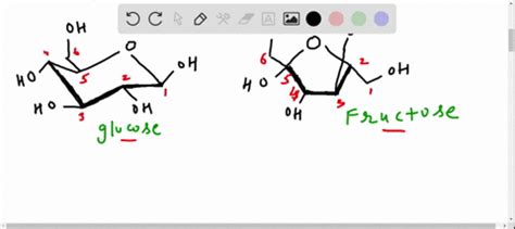 SOLVED:Compare the structure of a triacylglycerol to the structure of olestra (see Chemistry ...