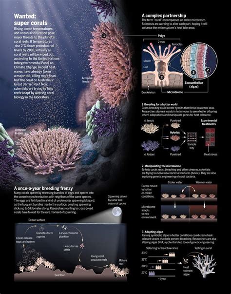 Infographics — Chris Bickel Illustration | Science infographics, Scientific poster design ...