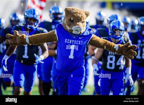 Kentucky wildcats mascot hi-res stock photography and images - Alamy