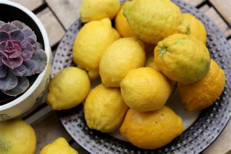 Organic lemons | Pictures of food • Foodiesfeed • Food pictures ...