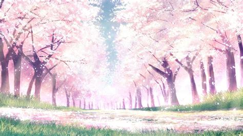 Anime Cherry Blossom Tree Wallpapers - Top Free Anime Cherry Blossom ...