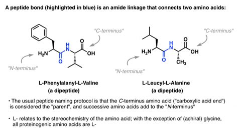 Synthesis of Peptides – Master Organic Chemistry