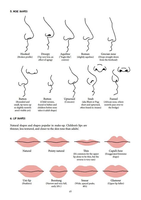 Female Chart Nose Types