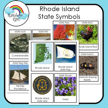 Rhode Island State Symbols by Rainbow Girl | TPT