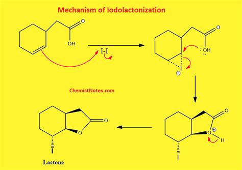 Iodolactonization: Mechanism, examples, useful application - Chemistry ...