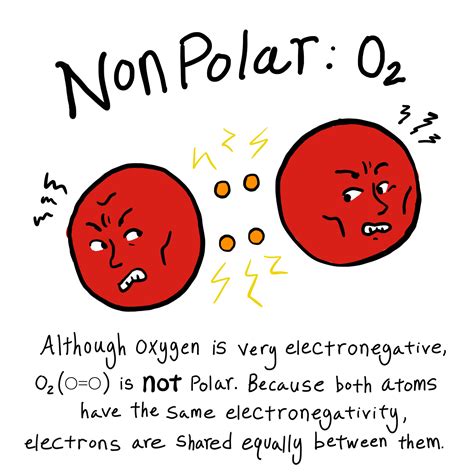 Polarity Of Molecules Practice