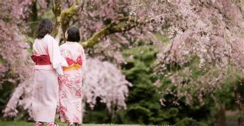 Celebrate Japanese culture and history at Vancouver's annual Cherry Blossom Festival | Daily ...