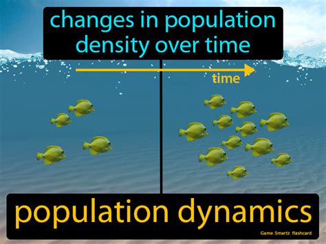 Population Dynamics Definition & Image | Flippy Flashcards