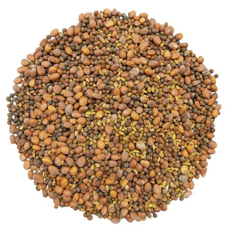 Alfalfa Seeds in Bulk | Food to Live