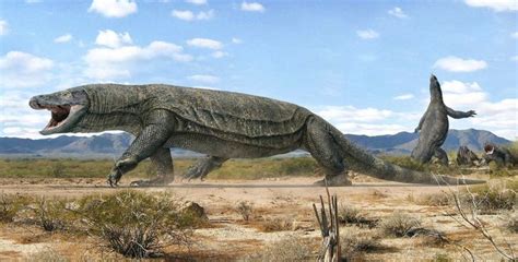 An extinct giant goanna (Megalania prisca), the largest lizard known. They roamed southern ...