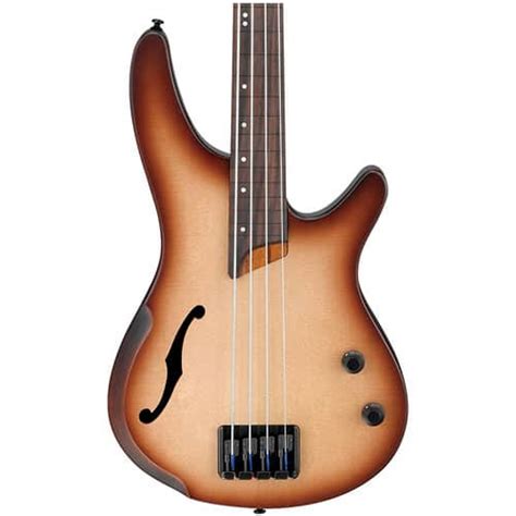 The 5 Best Fretless Bass Guitars (The COMPLETE 2022 Guide)