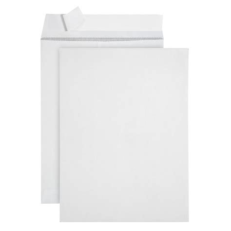 Blue Summit Supplies Security Catalog Envelopes, 6" x 9", White, Self