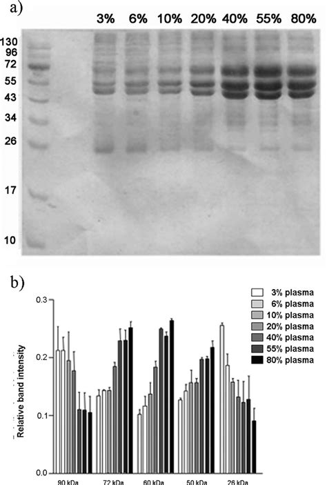 SDS-PAGE gel of human plasma proteins obtained from the hard corona of... | Download Scientific ...