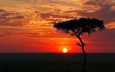 africa | African sunset, Sunset background, Sunset wallpaper