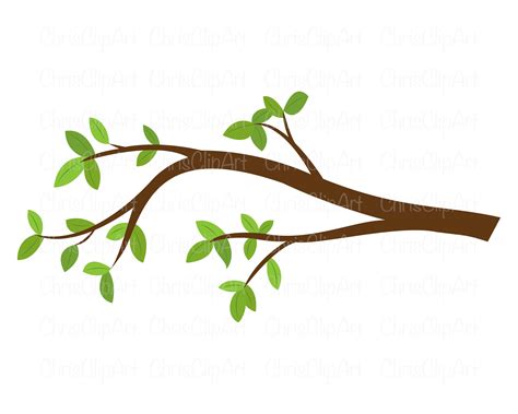 Tree Branch Png