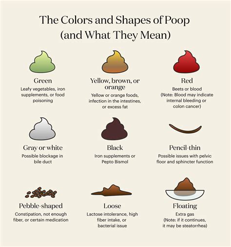 Why Is My Poop Green? And Other Poop Color Meanings | theSkimm