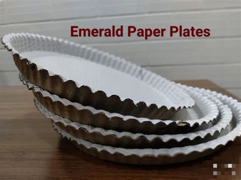 12 Inch Disposable Paper Plate at Rs 5/piece in Coimbatore | ID ...