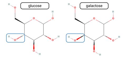 Galactose Structure Diagram