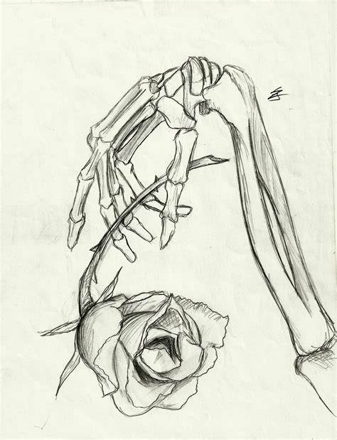 Skeleton Hand Holding Rose Drawing at PaintingValley.com | Explore ...