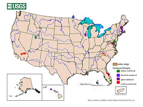 Snakehead | Invasive Species Program | Nebraska