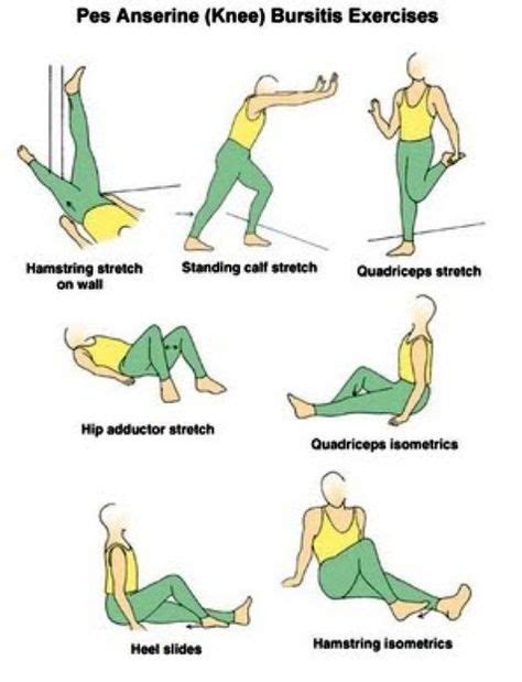 20 Pes Anserine Bursitis ideas | bursitis, pes anserine bursitis, bursitis knee