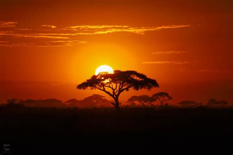 Perfect African Sunset | African sunset, Africa sunrise, African sunrise