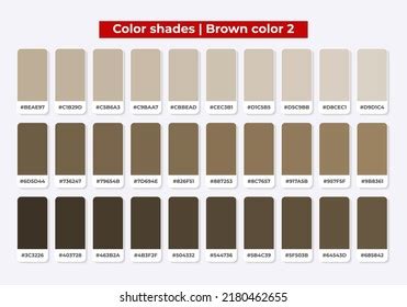 Brown Color Palette Rgb Hex Color Stock Vector (Royalty Free) 2180449927 | Shutterstock