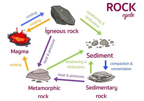 Geology Rocks: The Rock Cycle Educational Resources K12 Learning, Physical Science, Science ...