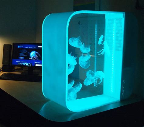 Cubic Pulse 80 Jellyfish Aquarium – NoveltyStreet