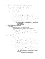 Understanding the Neurologic System: Structure and Function | Course Hero