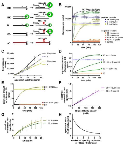 Figure 1 from Development of an RNase H2 Activity Assay for Clinical Screening | Semantic Scholar