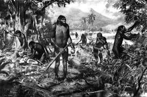 3 jenis Pithecanthropus | Peta Dunia - Sejarah Indonesia | Sejarah Negara