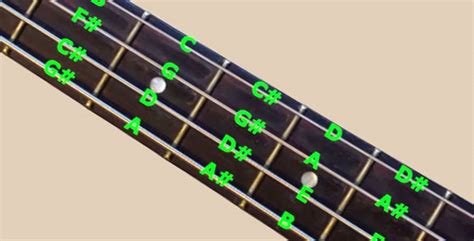 Bass Guitar Notes Chart (With Helpful Fretboard Photos) - BassOx