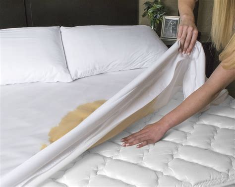 Zippered Mattress Protector - Bedbug proof Waterproof Encasement | Four Seasons Essentials