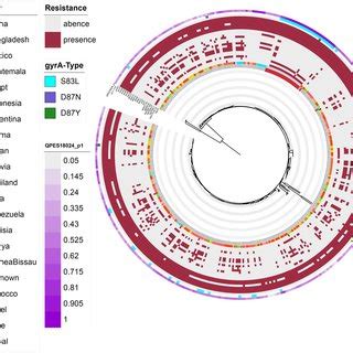 AMR gene groups detected in each genome sequence at more than 70 %... | Download Scientific Diagram