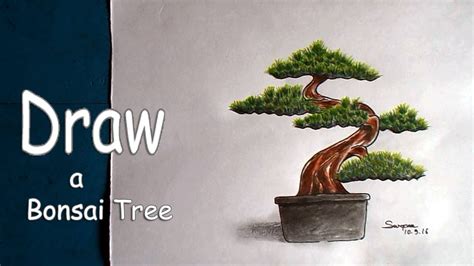 Bonsai Tree Drawing Step By Step : Bonsai Tree Draw Drawing Step Wikihow Drawings Simple Leaves ...