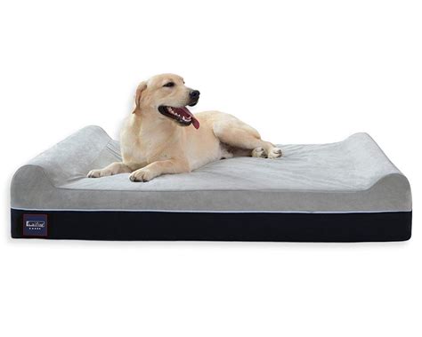 12 Best Orthopedic Dog Beds for Arthritis - Hey, Djangles.