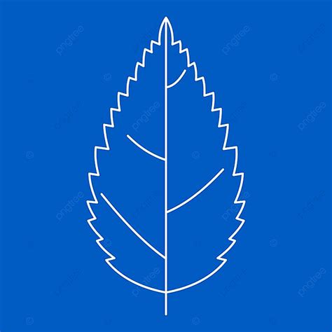 Leaf Isolated Vector Hd PNG Images, Tree Leaf Icon Blue Outline Style ...