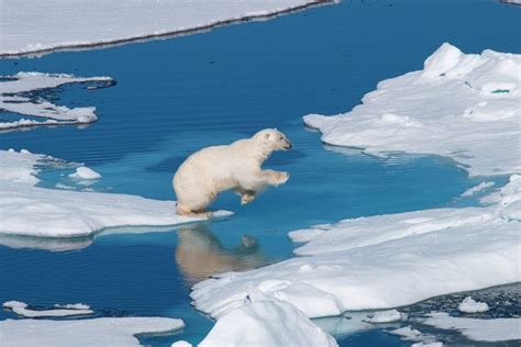 Arctic Photography Expedition to Svalbard | Iceland Photo... | Polar ...