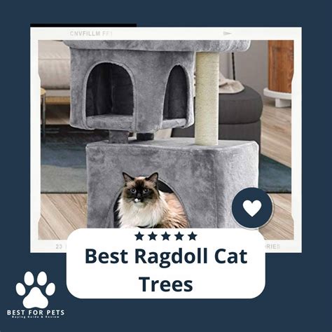 The 14 Best Ragdoll Cat Trees of 2022