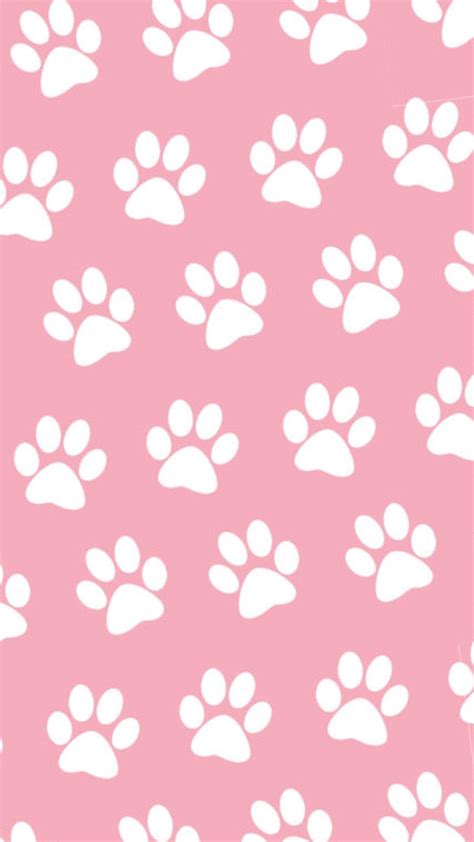 Paw Print Wallpapers - Top Free Paw Print Backgrounds - WallpaperAccess