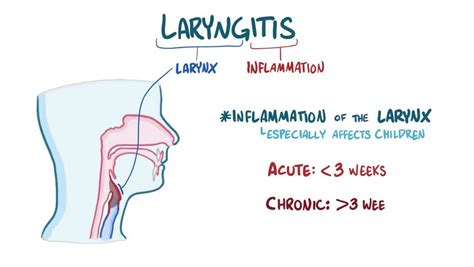 Laryngitis: Video, Anatomy, Definition & Function | Osmosis