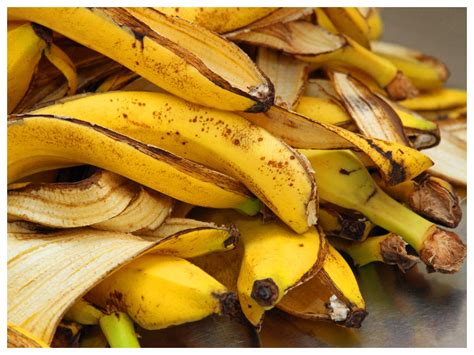 Benefits of Banana Peel: Lesser known benefits of banana peel