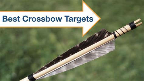 Best Crossbow Targets in 2021 Review - BowScanner