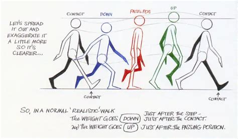 Two Kinds of Walk Cycles - IdeaRocket