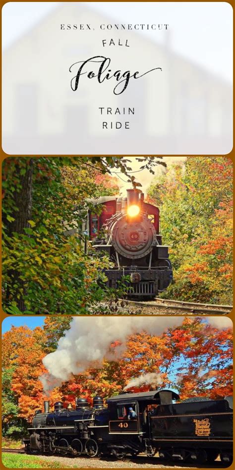 Take this fall foliage train ride through connecticut for a one of a kind experience – Artofit