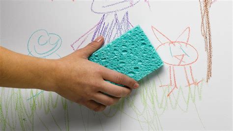 Washable Paint: Best Buys for Walls That Stay Looking Fresh | Homebuilding