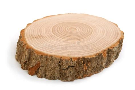 Cross Section Of Tree Trunk Showing Growth Rings Royalty Free Stock Photo - Image: 14266825